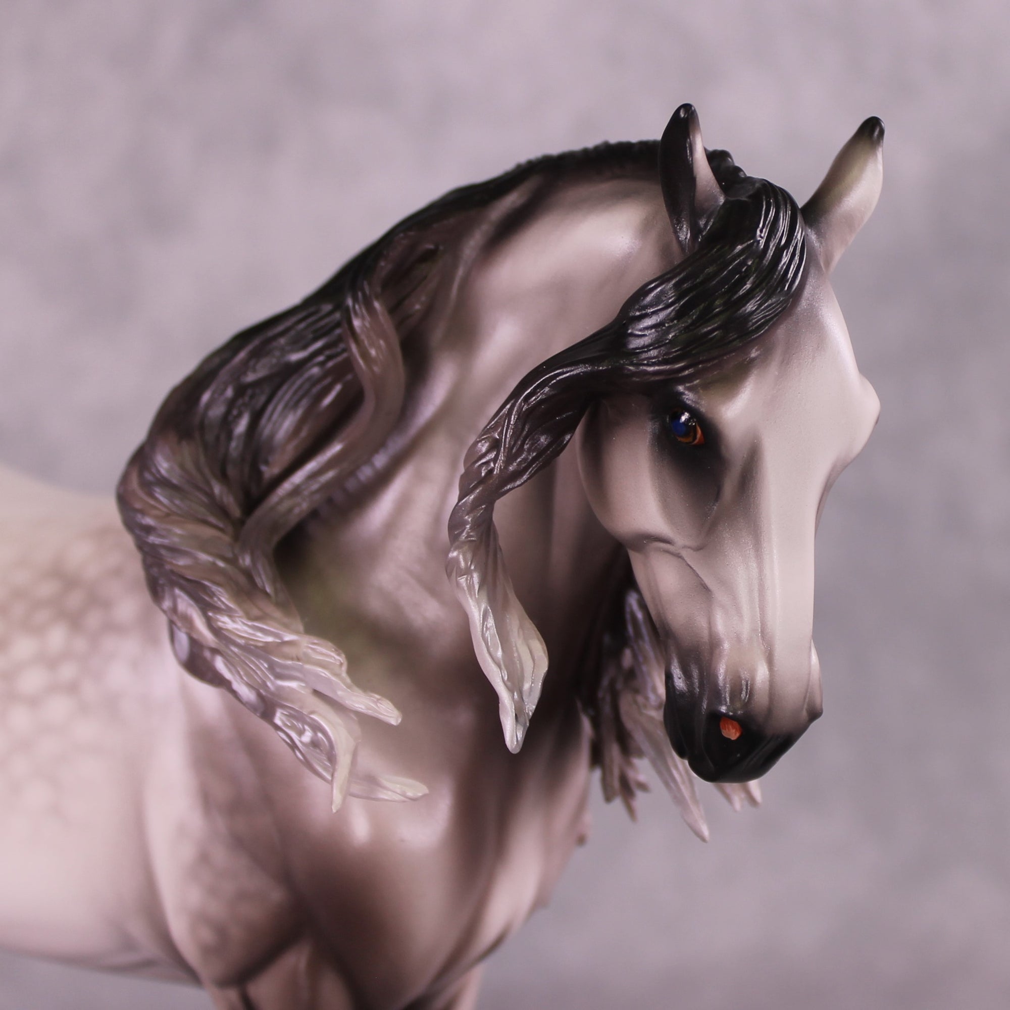 "Rocket Man" OOAK FCM Andalusian By Caroline Boydston Best Offer 6/3/25