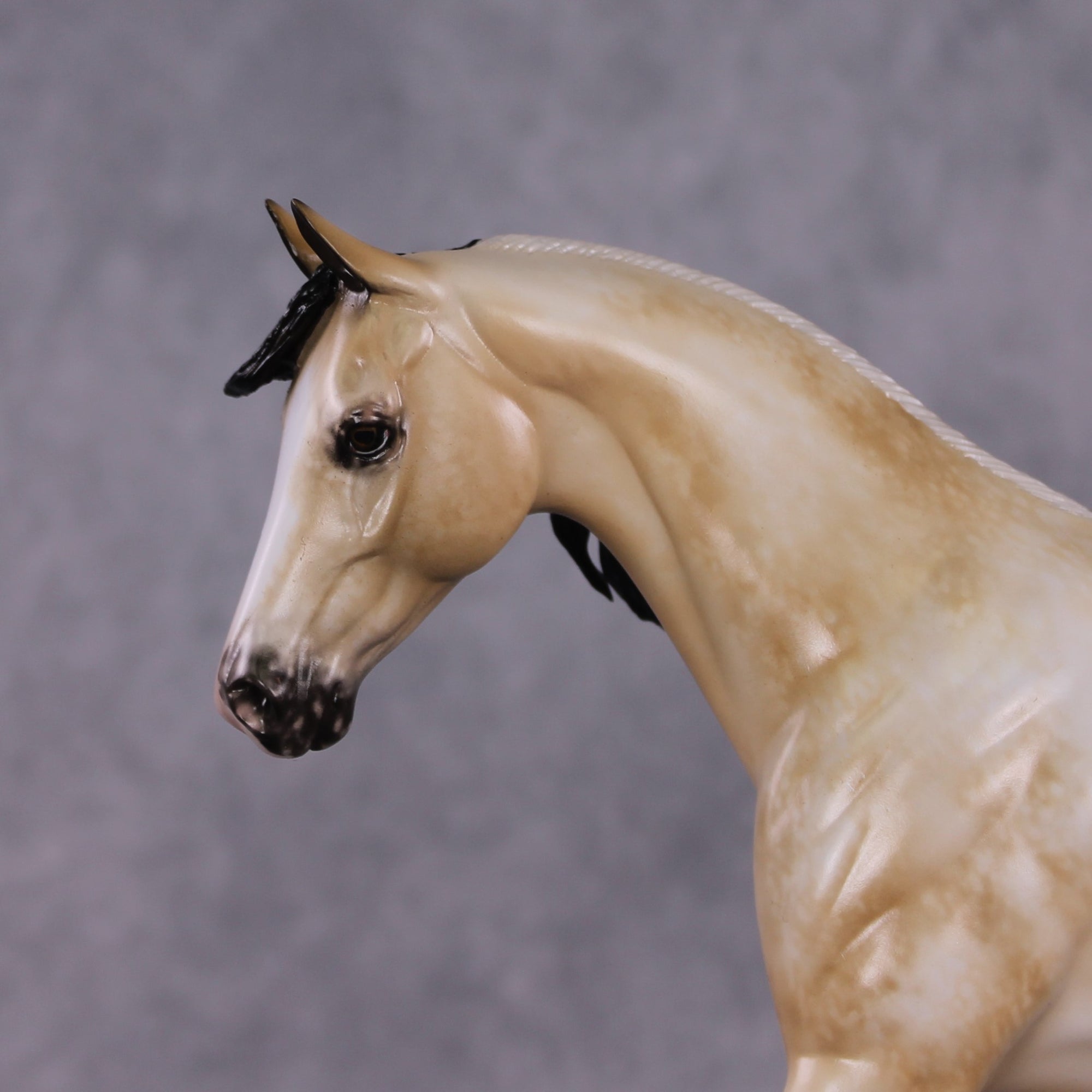 "Gale Force" Best Offer Custom OOAK Pony by Sheryl Leisure