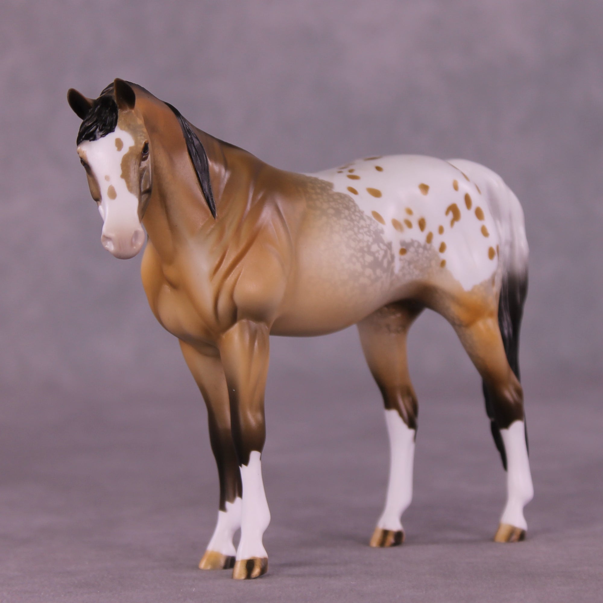 Message In A Bottle OOAK Pebble Arabian by Dawn Quick LHS25