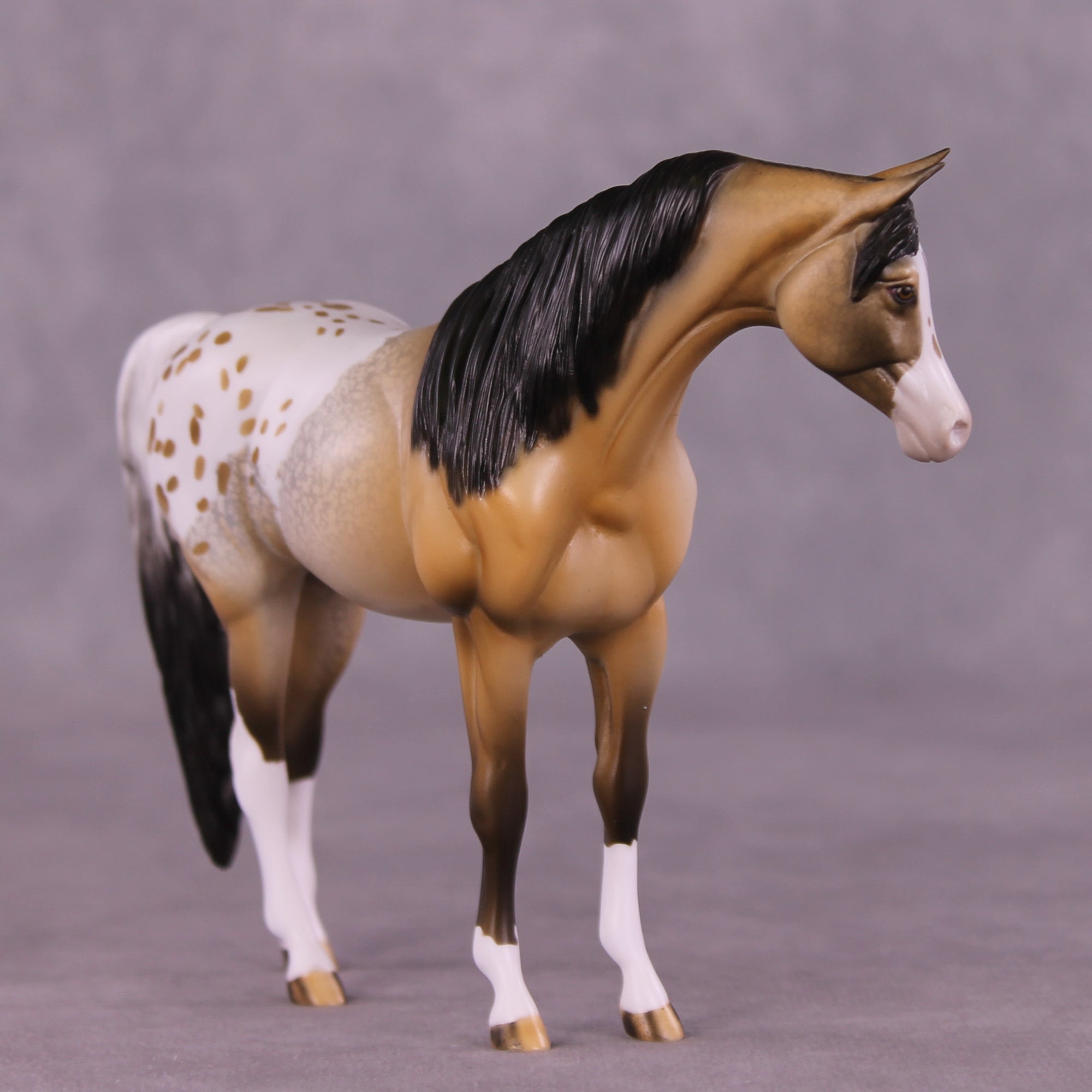 Message In A Bottle OOAK Pebble Arabian by Dawn Quick LHS25