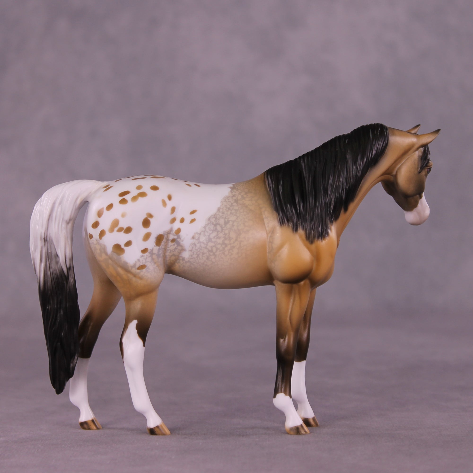 Message In A Bottle OOAK Pebble Arabian by Dawn Quick LHS25