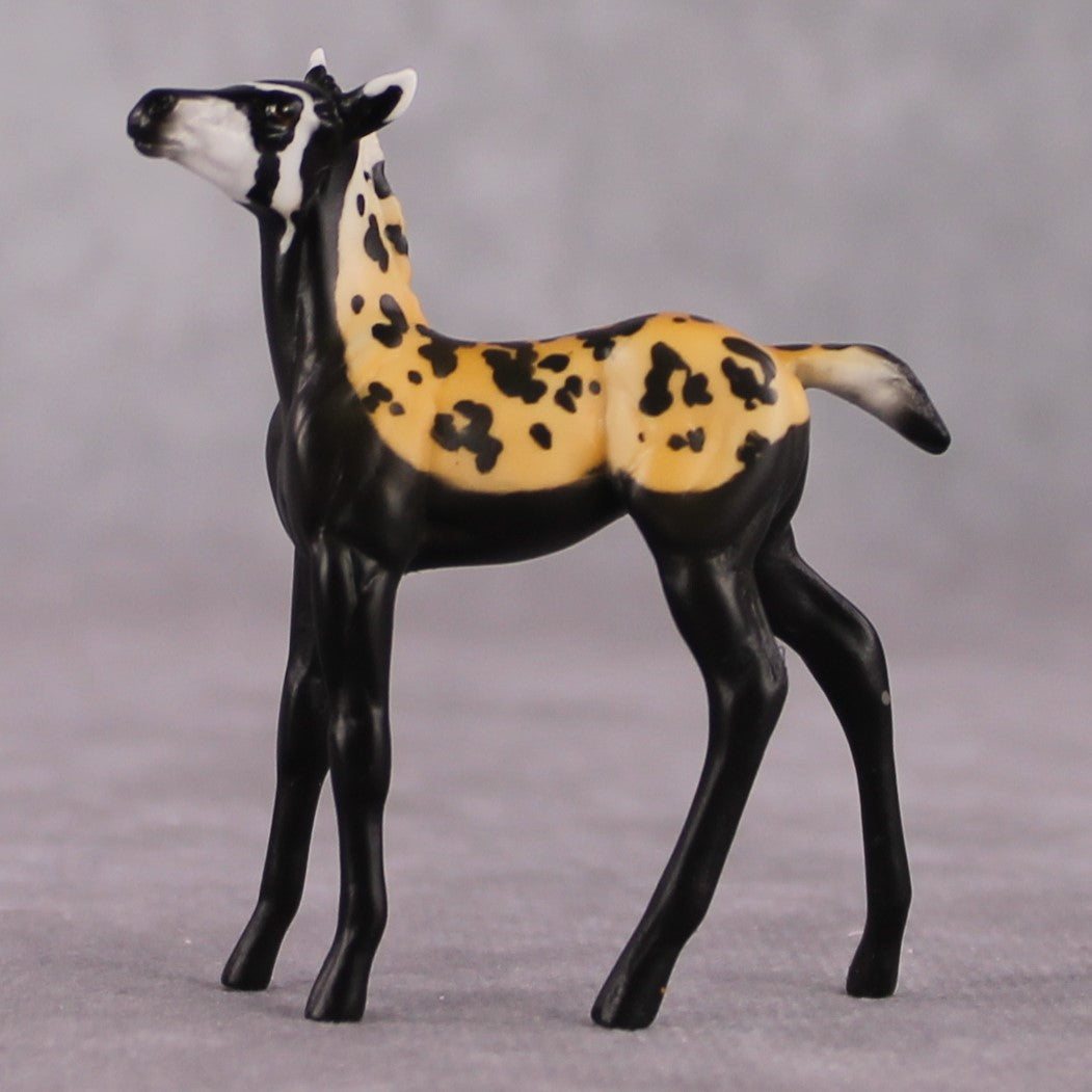 "Vormela" LE-3 Marbled Pole Cat Inspired Deco Foal Chip By Jess Hamill Menagerie Series: Central Asia MS25