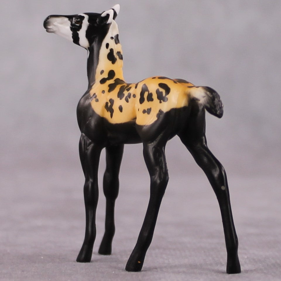 "Vormela" LE-3 Marbled Pole Cat Inspired Deco Foal Chip By Jess Hamill Menagerie Series: Central Asia MS25