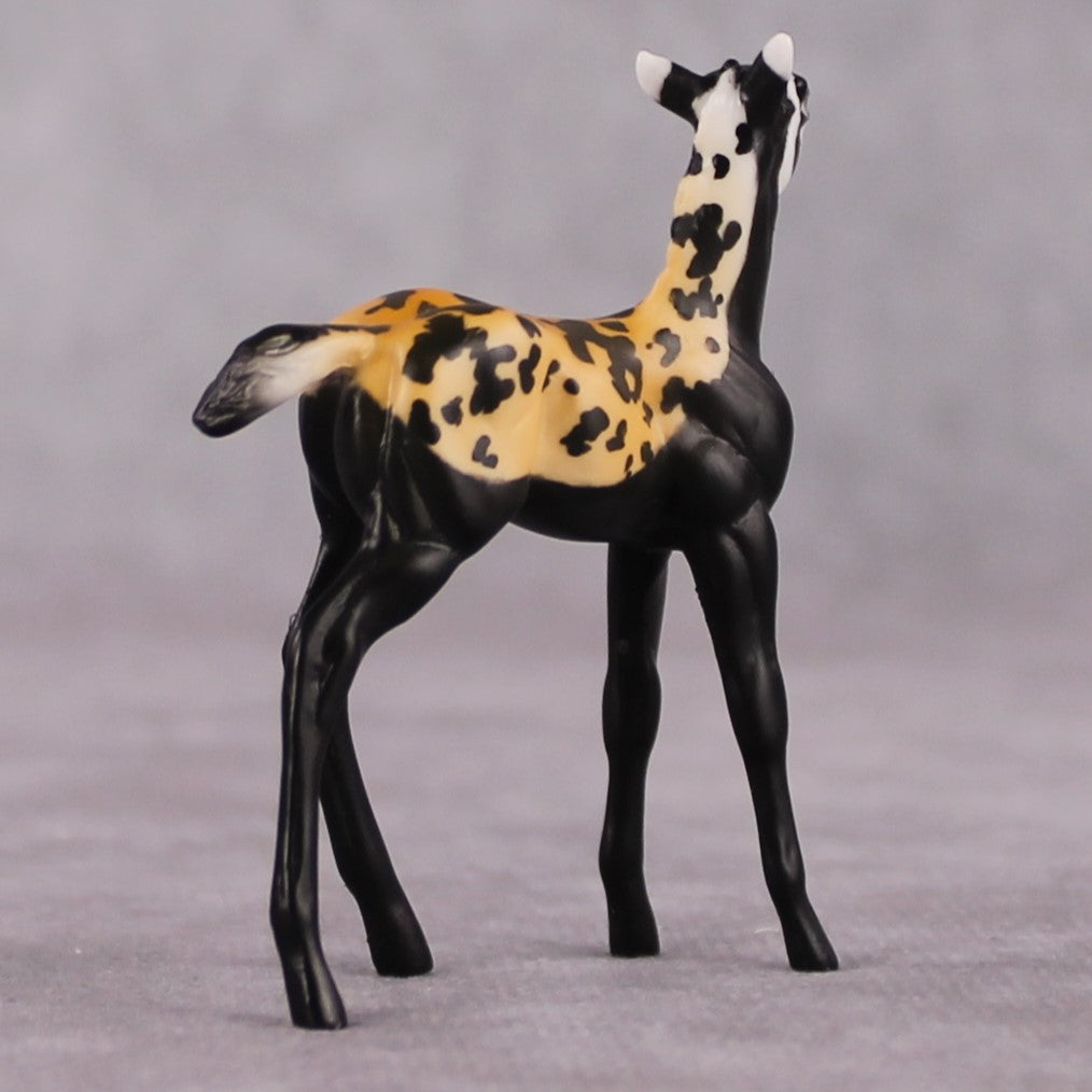 "Vormela" LE-3 Marbled Pole Cat Inspired Deco Foal Chip By Jess Hamill Menagerie Series: Central Asia MS25
