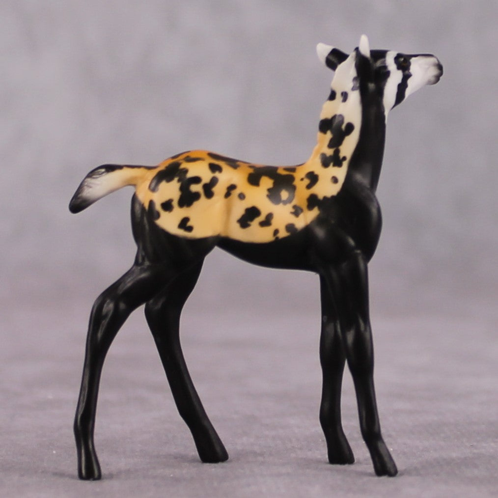 "Vormela" LE-3 Marbled Pole Cat Inspired Deco Foal Chip By Jess Hamill Menagerie Series: Central Asia MS25