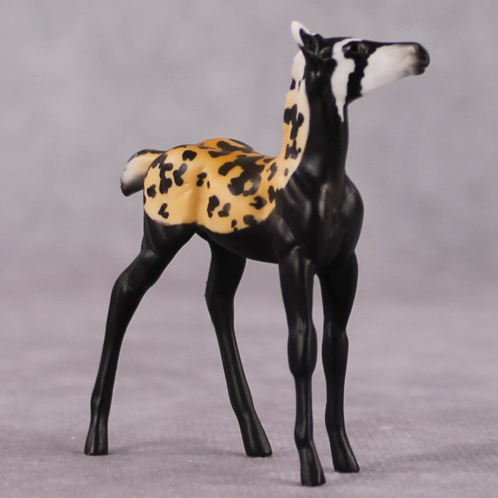 "Vormela" LE-3 Marbled Pole Cat Inspired Deco Foal Chip By Jess Hamill Menagerie Series: Central Asia MS25