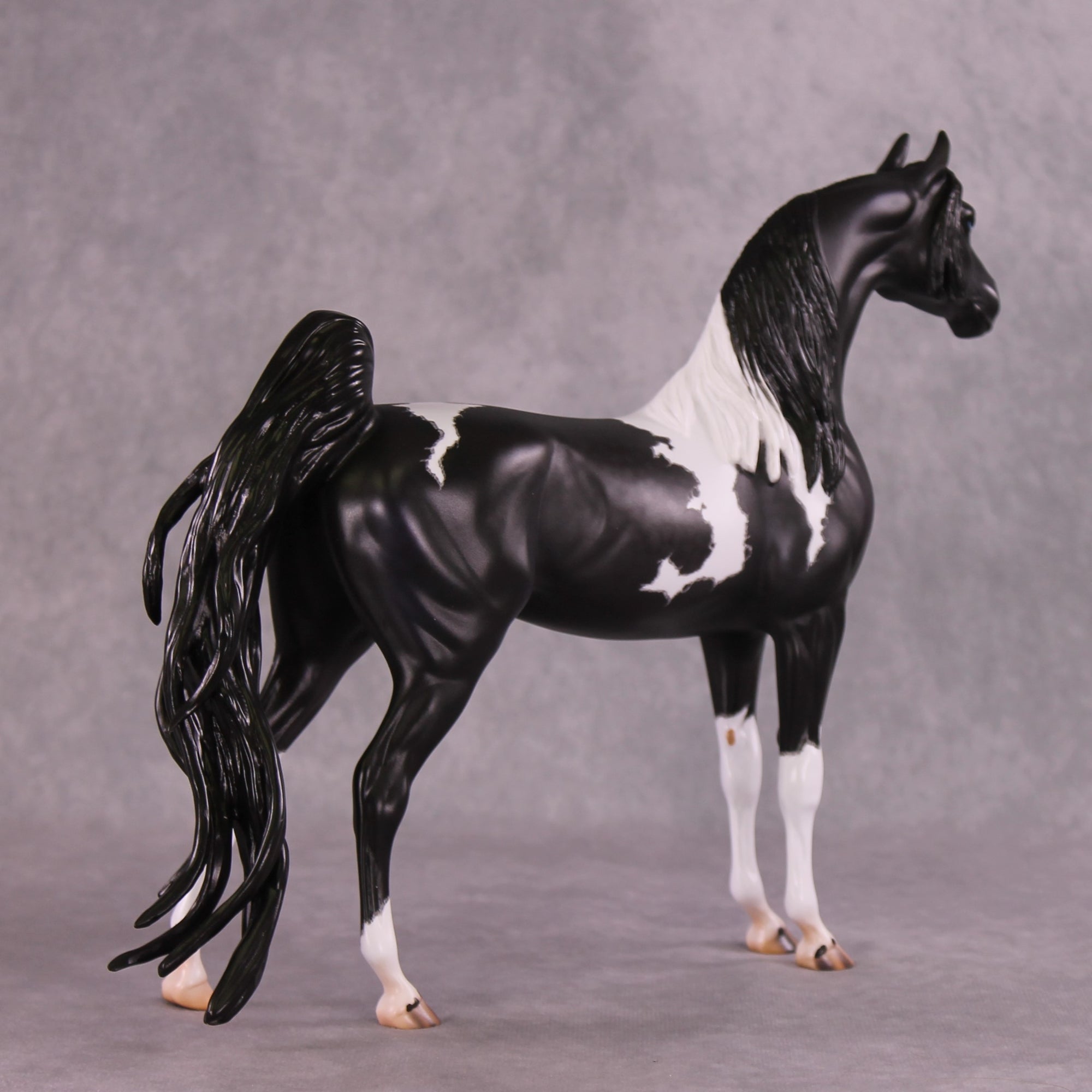 &quot;Zenith&quot; OOAK FCM Arabian/ASB By Caroline Boydston Best Offer 6/3/25