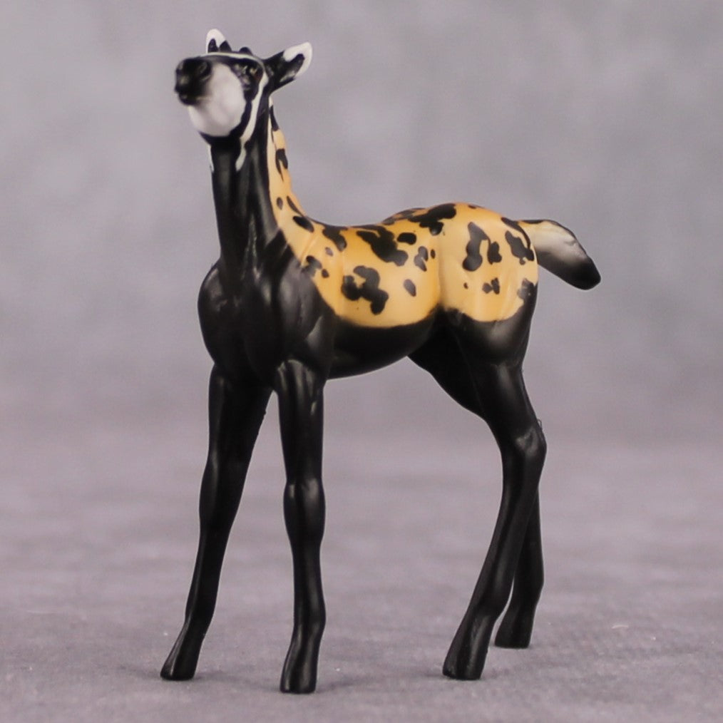 "Vormela" LE-3 Marbled Pole Cat Inspired Deco Foal Chip By Jess Hamill Menagerie Series: Central Asia MS25