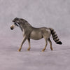 &quot;Manul&quot; LE-3 Palla&#39;s Cat Inspired Deco Pony Chip By Jess Hamill - 2025 The Menagerie Series MS25