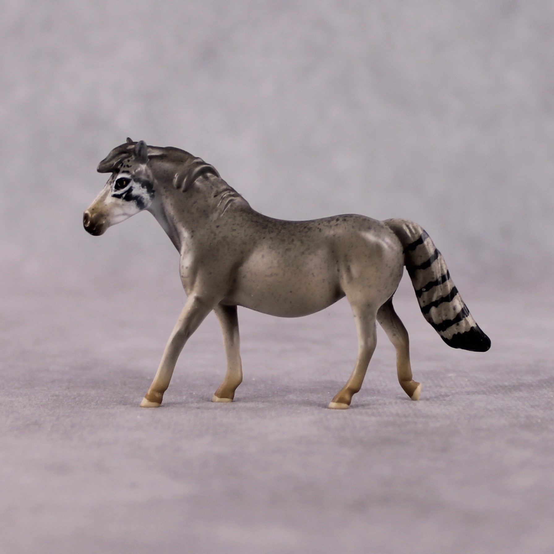"Manul" LE-3 Palla's Cat Inspired Deco Pony Chip By Jess Hamill Menagerie Series: Central Asia MS25