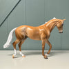 Sunshine OOAK Dappled Palomino Thoroughbred By Dawn Quick EQ24