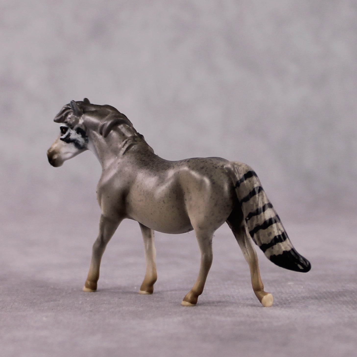 "Manul" LE-3 Palla's Cat Inspired Deco Pony Chip By Jess Hamill Menagerie Series: Central Asia MS25
