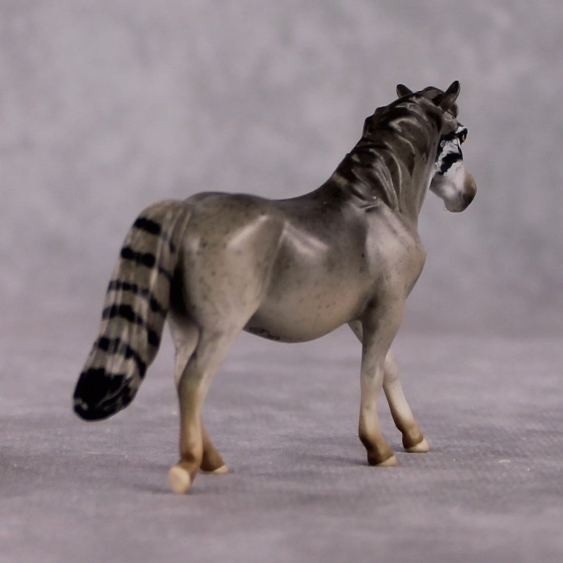 "Manul" LE-3 Palla's Cat Inspired Deco Pony Chip By Jess Hamill Menagerie Series: Central Asia MS25