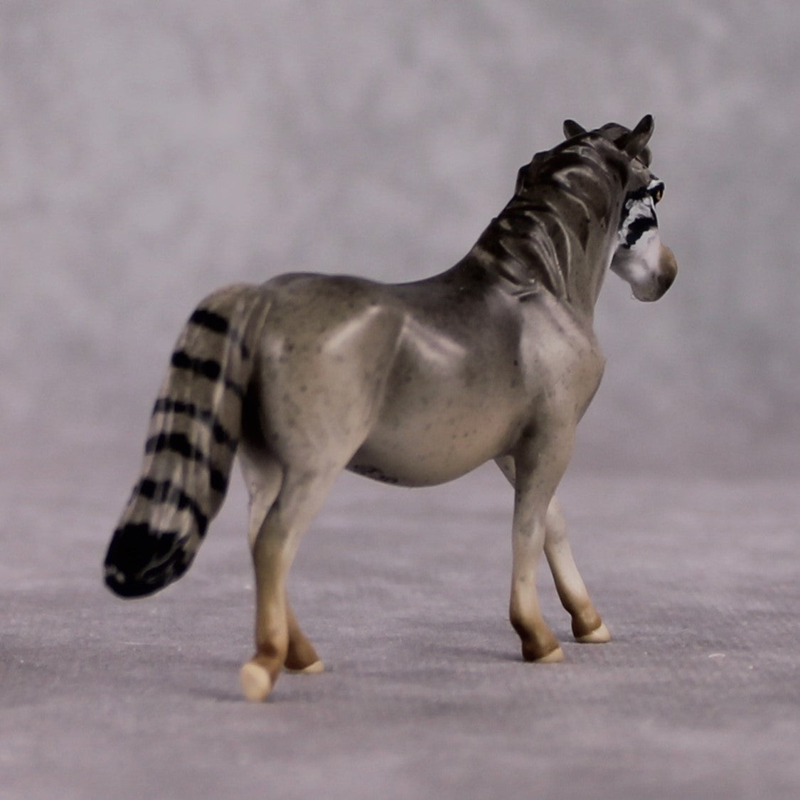 "Manul" LE-3 Palla's Cat Inspired Deco Pony Chip By Jess Hamill Menagerie Series: Central Asia MS25