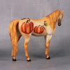 Lucy OOAK Pumpkin Decorator Pebble Arabian By Dawn Quick LHS24