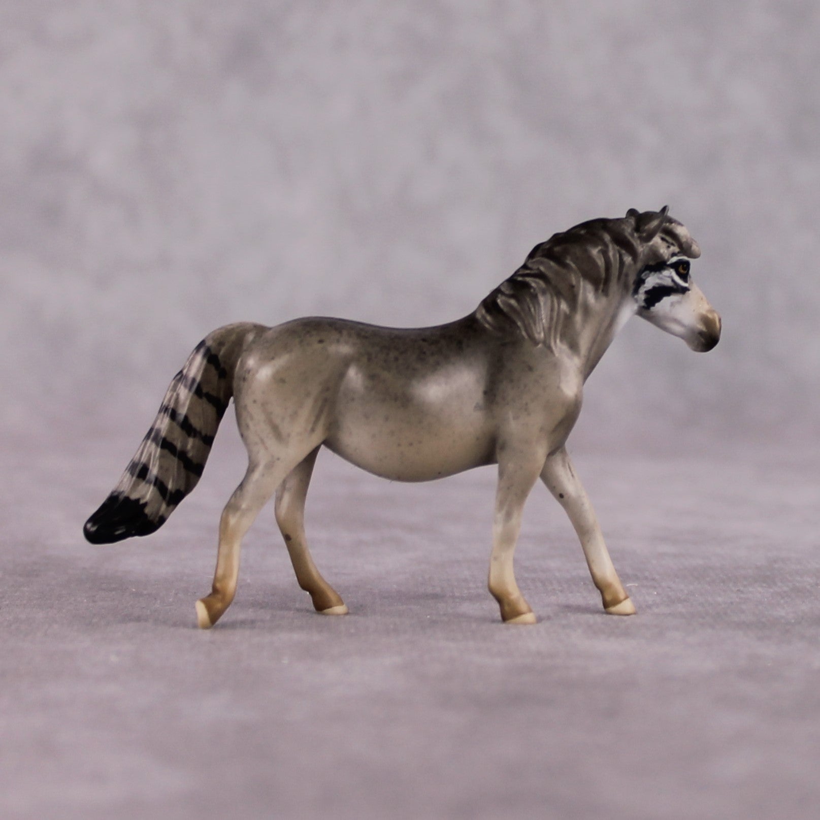 "Manul" LE-3 Palla's Cat Inspired Deco Pony Chip By Jess Hamill Menagerie Series: Central Asia MS25