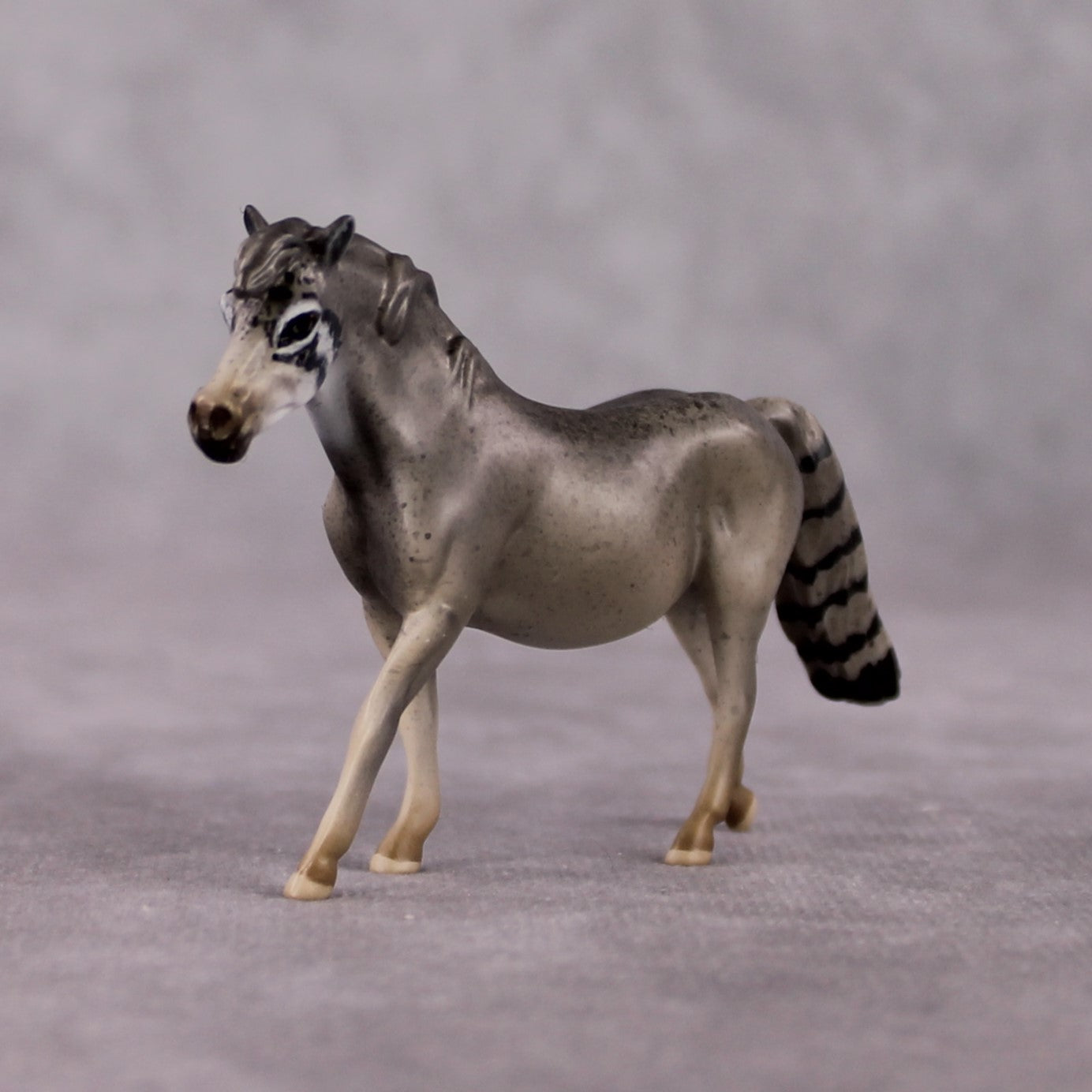 "Manul" LE-3 Palla's Cat Inspired Deco Pony Chip By Jess Hamill Menagerie Series: Central Asia MS25