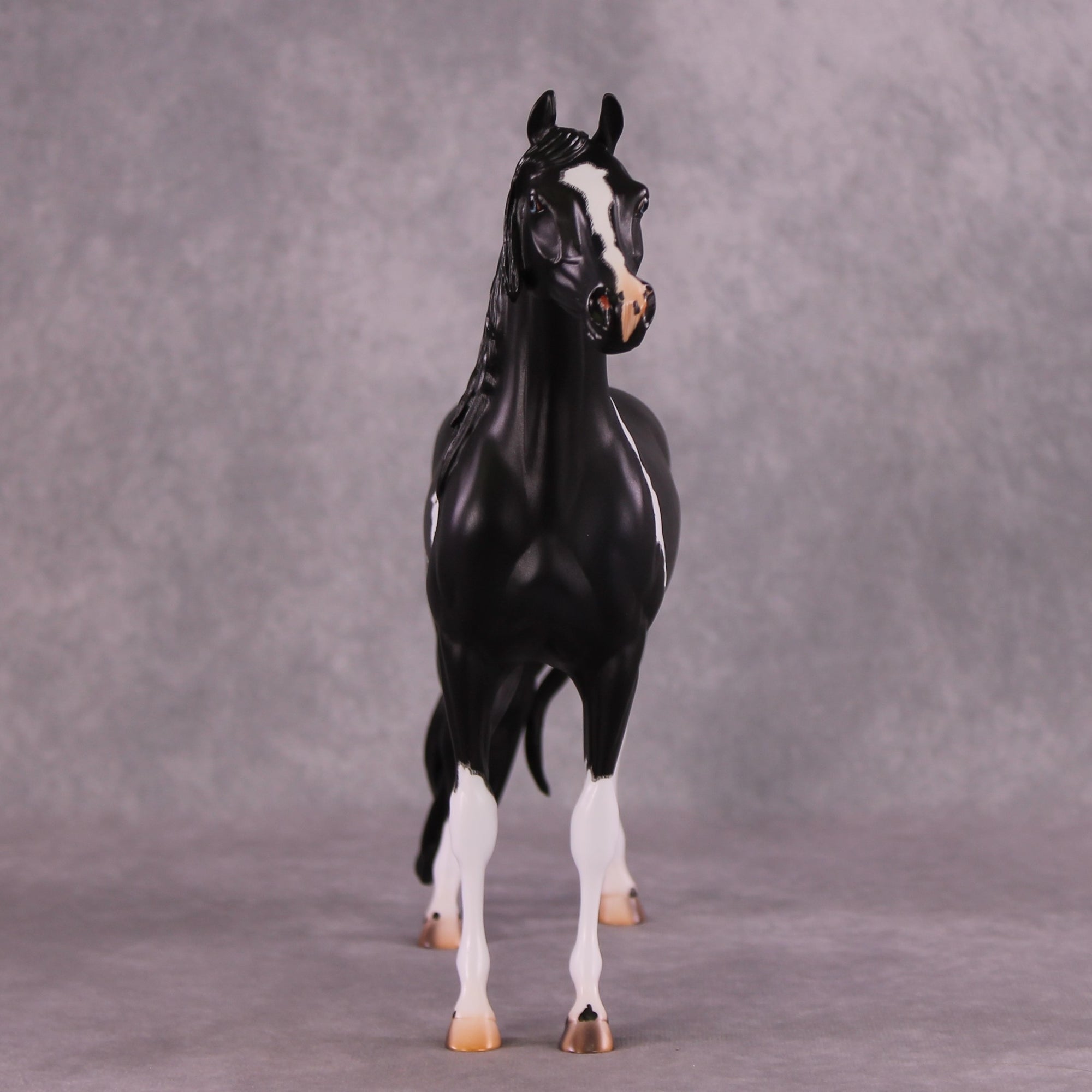 &quot;Zenith&quot; OOAK FCM Arabian/ASB By Caroline Boydston Best Offer 6/3/25