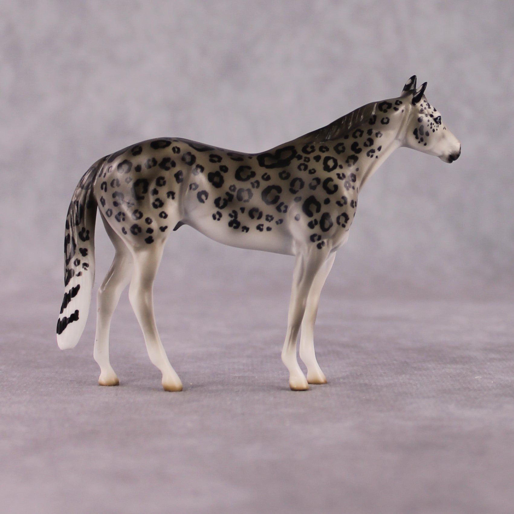 "Himalaya" LE-3 Snow Leopard Inspired Deco Ideal Stock Horse Chip By Jess Hamill Menagerie Series: Central Asia MS25