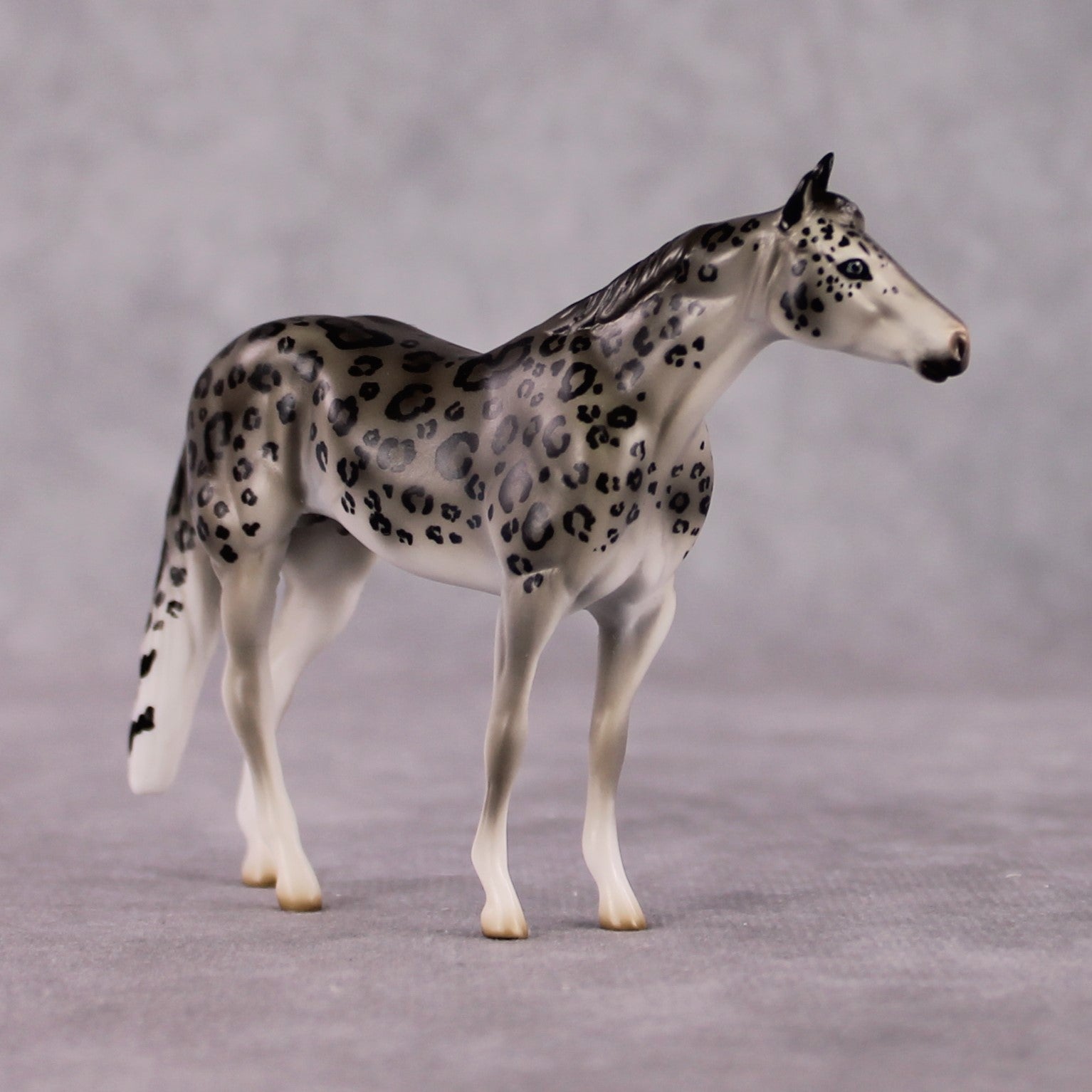 "Himalaya" LE-3 Snow Leopard Inspired Deco Ideal Stock Horse Chip By Jess Hamill Menagerie Series: Central Asia MS25