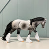 Pepper OOAK Dapple Grey Irish Cob By Dawn Quick EQ24