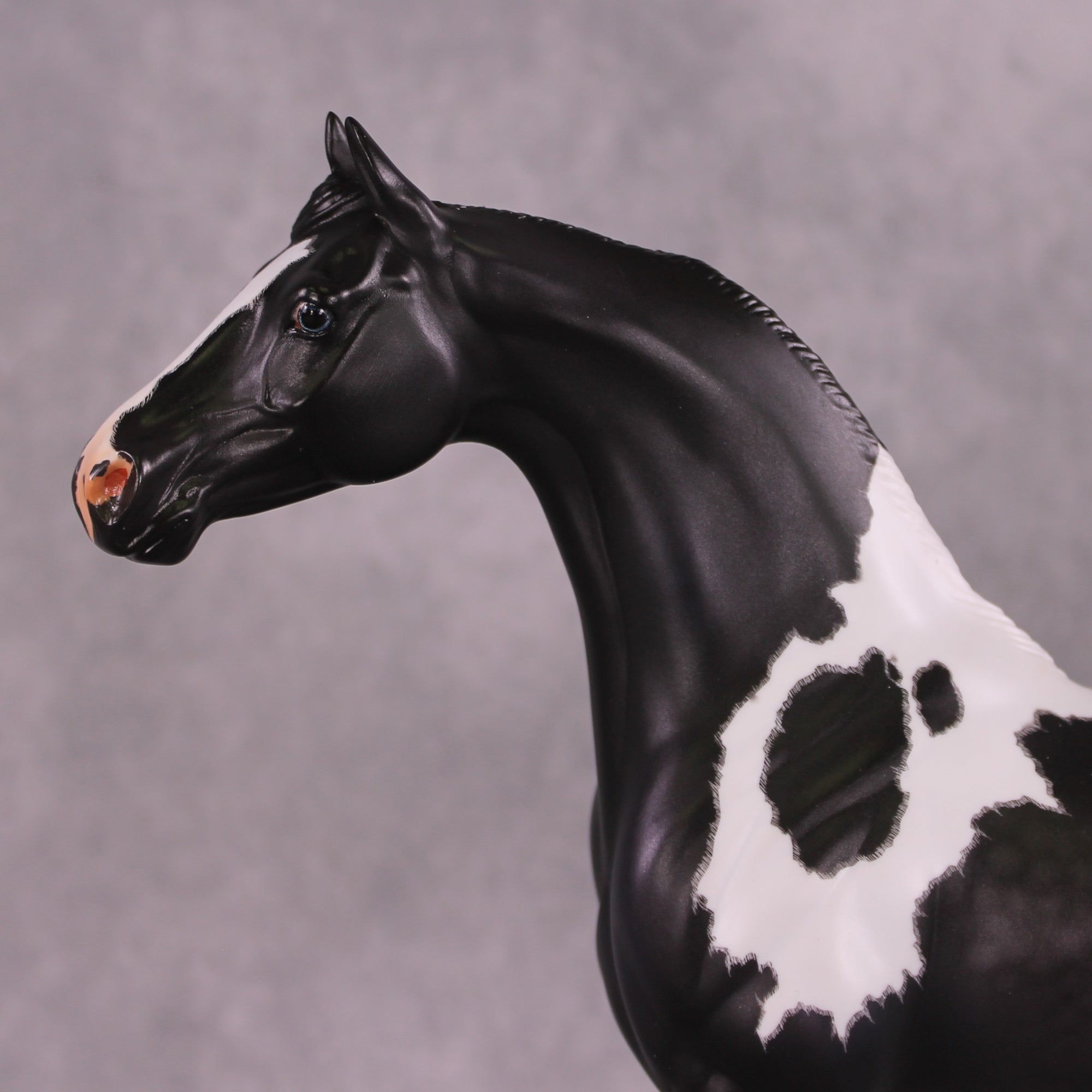 &quot;Zenith&quot; OOAK FCM Arabian/ASB By Caroline Boydston Best Offer 6/3/25