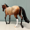 Chili OOAK Red Roan Thoroughbred By Dawn Quick EQ24