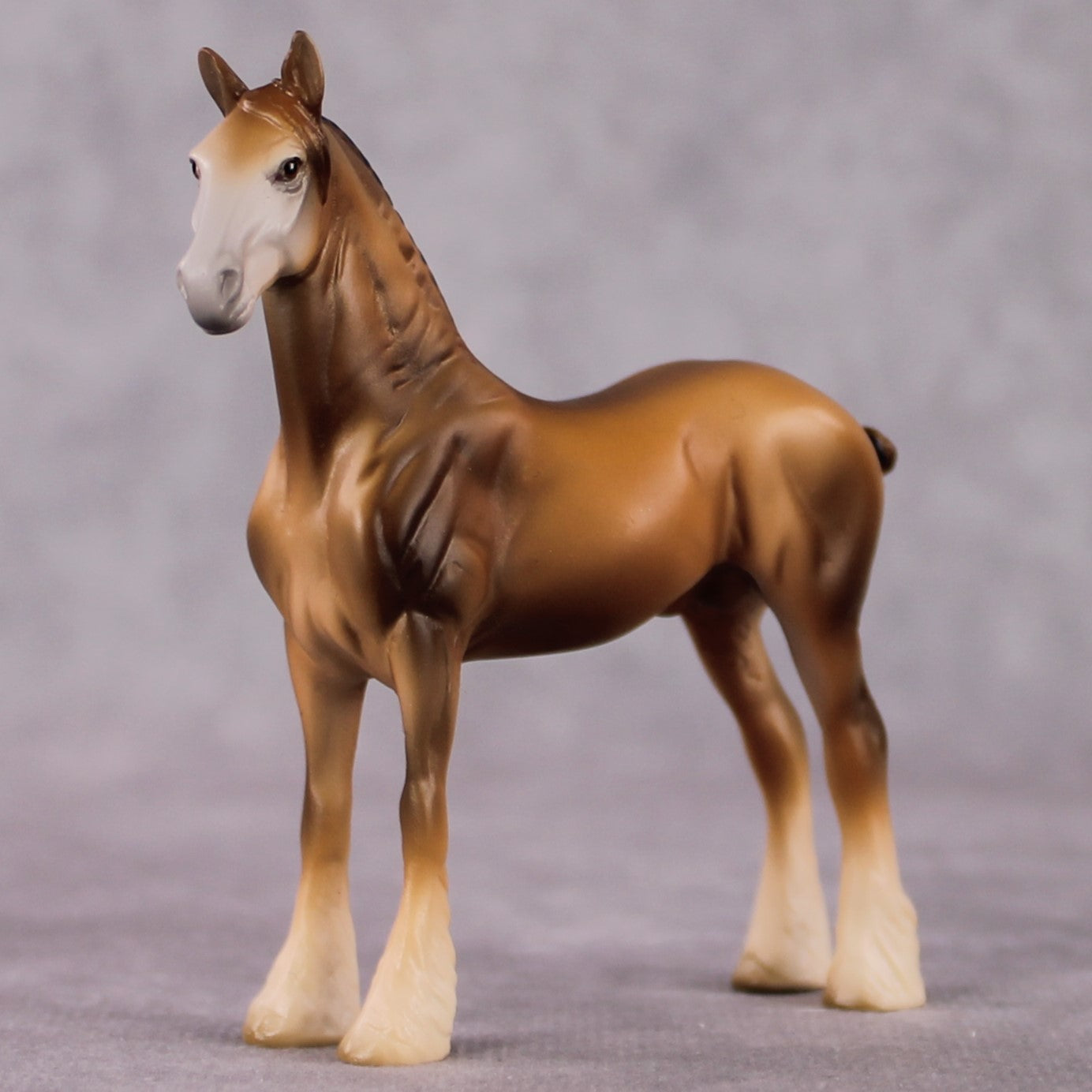 &quot;Bactria&quot; LE-3 Bactrian Camel Inspired Draft Chip By Jess Hamill Menagerie Series: Central Asia MS25