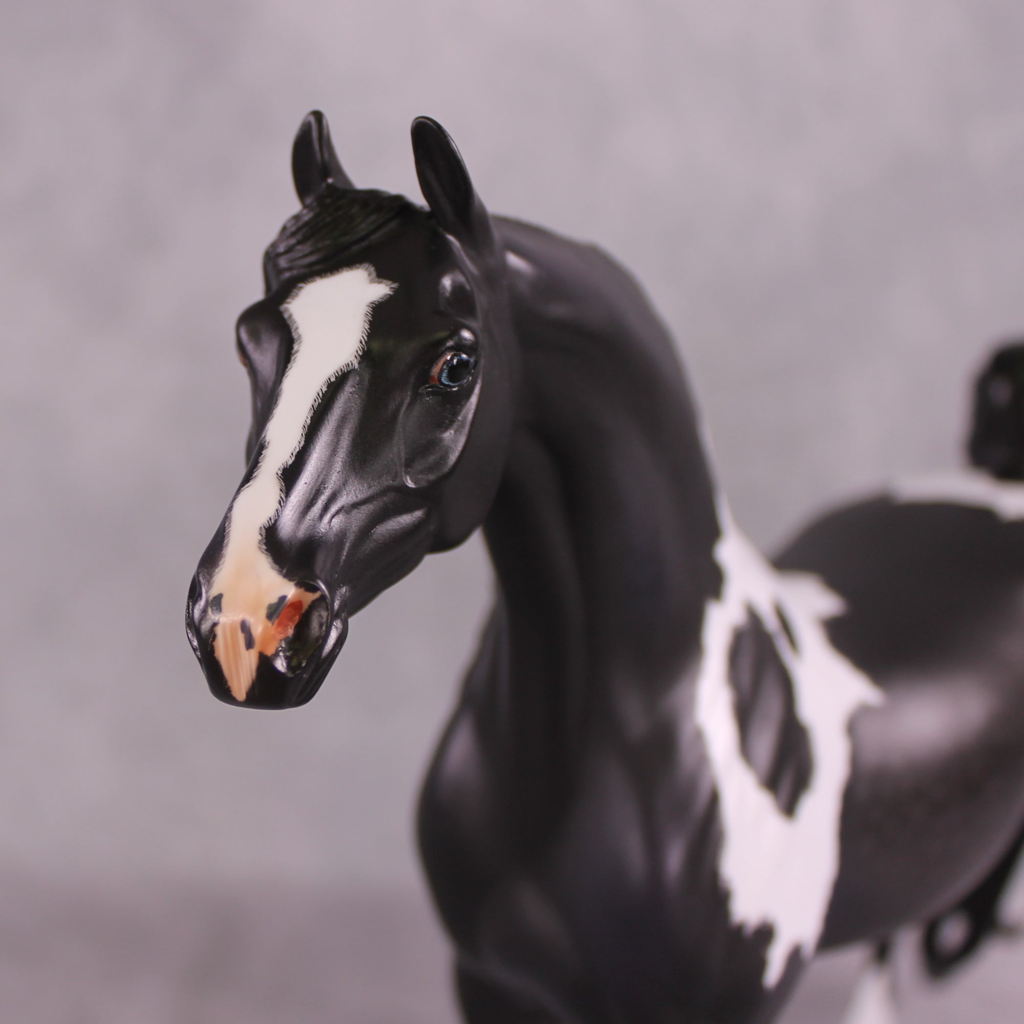 &quot;Zenith&quot; OOAK FCM Arabian/ASB By Caroline Boydston Best Offer 6/3/25