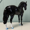 Cosmo LE-5 Holographic Black Andalusian By Ashley Palmer EQ24