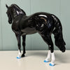 Cosmo LE-5 Holographic Black Andalusian By Ashley Palmer EQ24