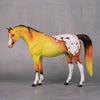 Nebula OOAK Yellow and Orange Appy Pebble Arabian By Dawn Quick LHS24