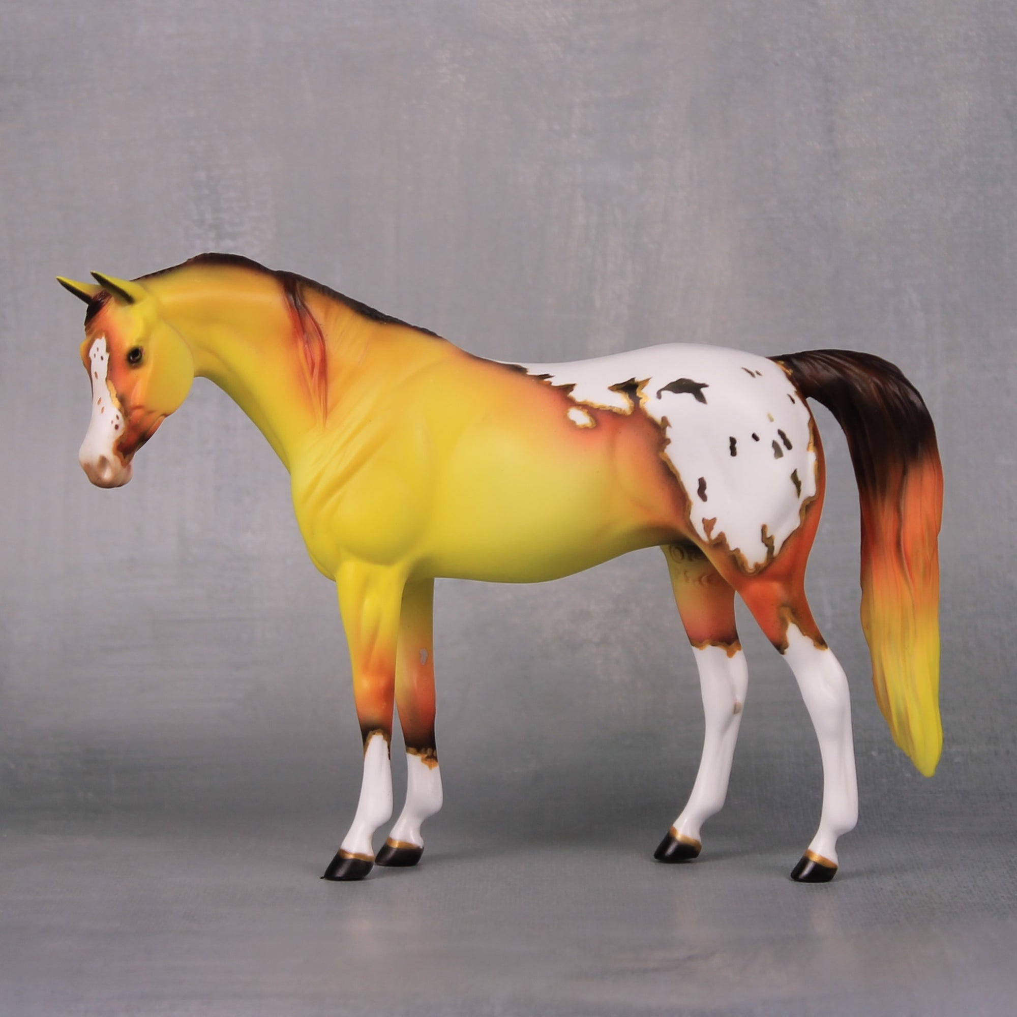 Nebula OOAK Yellow and Orange Appy Pebble Arabian By Dawn Quick LHS24