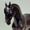 Cosmo LE-5 Holographic Black Andalusian By Ashley Palmer EQ24