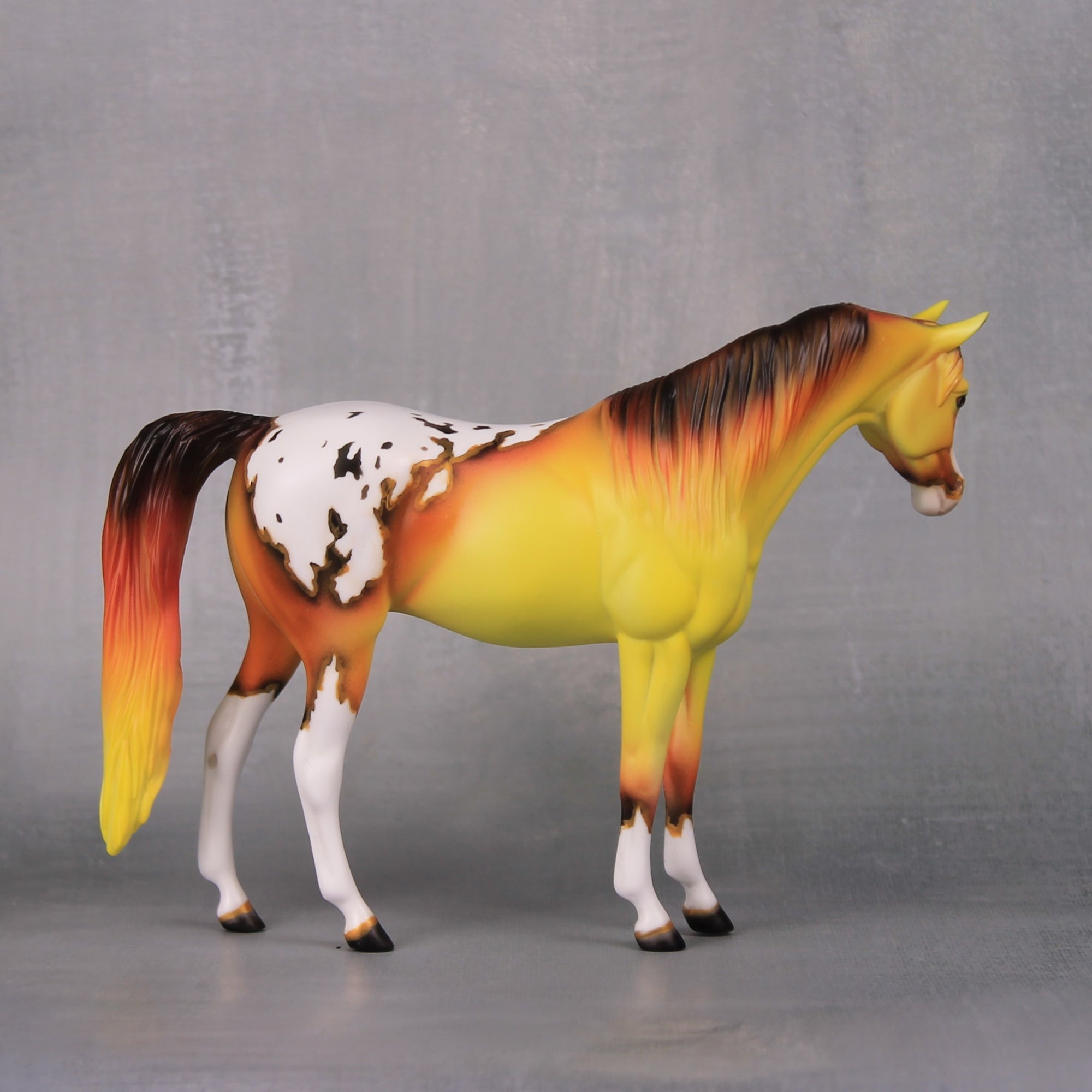 Nebula OOAK Yellow and Orange Appy Pebble Arabian By Dawn Quick LHS24