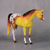 Nebula OOAK Yellow and Orange Appy Pebble Arabian By Dawn Quick LHS24