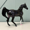 Elektra LE-5 Holographic Black Arab Mare By Ellen Robbins EQ24