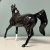 Elektra LE-5 Holographic Black Arab Mare By Ellen Robbins EQ24