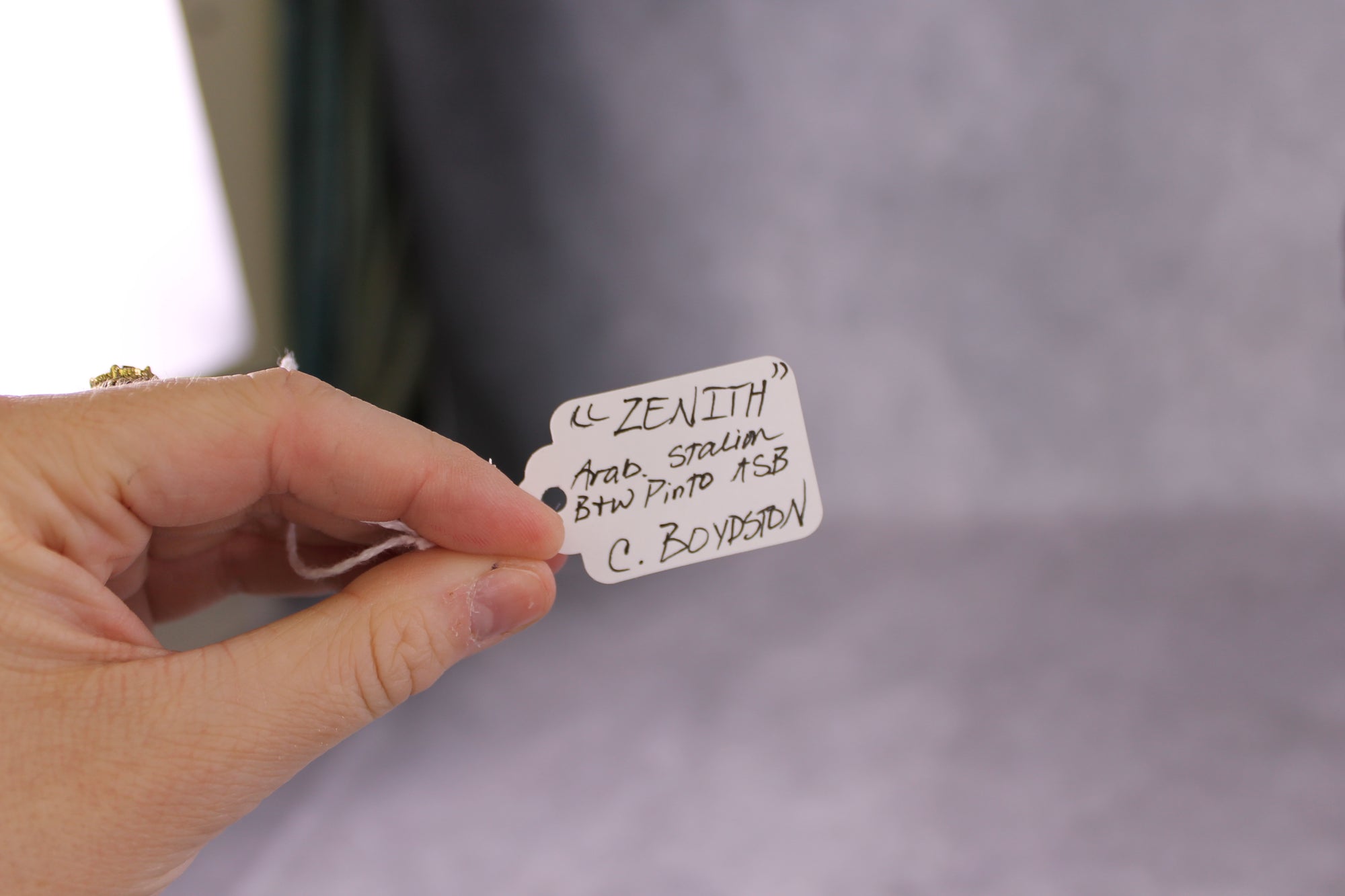 &quot;Zenith&quot; OOAK FCM Arabian/ASB By Caroline Boydston Best Offer 6/3/25