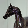 Elektra LE-5 Holographic Black Arab Mare By Ellen Robbins EQ24