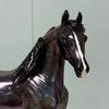 Elektra LE-5 Holographic Black Arab Mare By Ellen Robbins EQ24