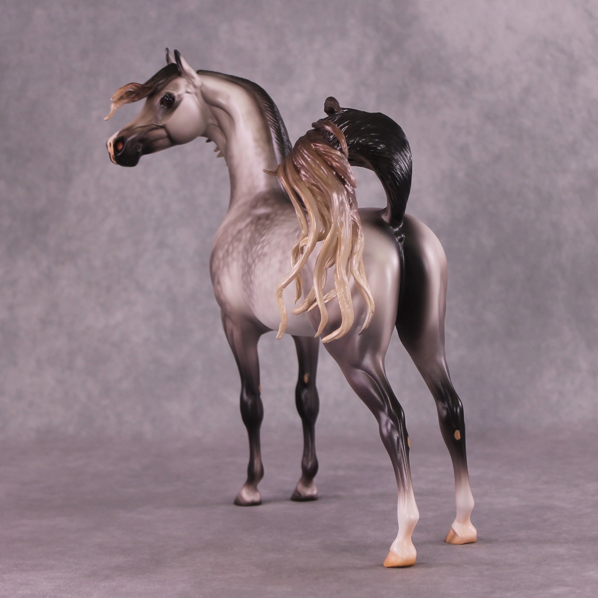 "Devon Aire" OOAK FCM Arabian Stallion By Caroline Boydston Best Offer 6/3/25