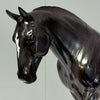 Ceilidh LE-5 Holographic Black Irish Draught By Ellen Robbins EQ24