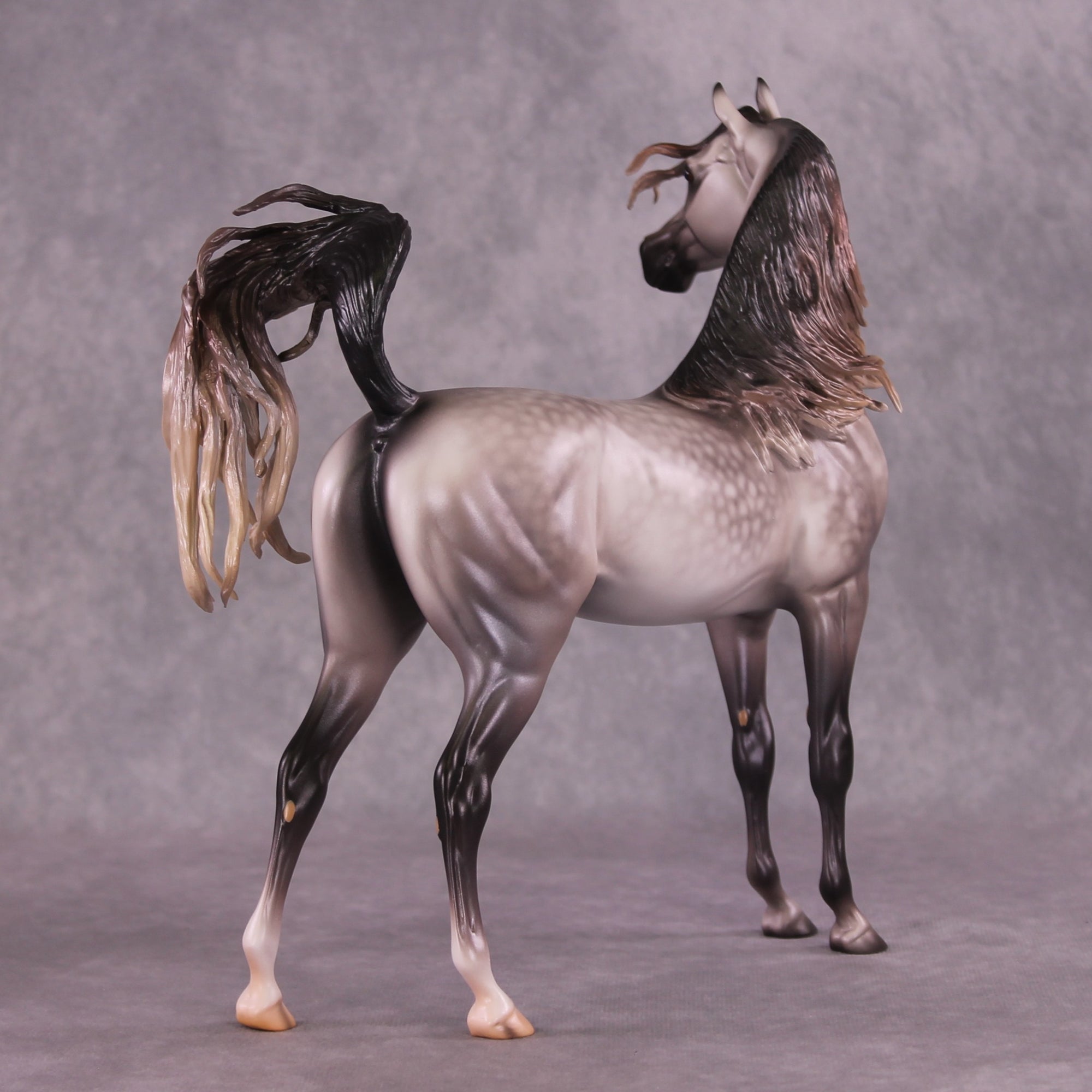 "Devon Aire" OOAK FCM Arabian Stallion By Caroline Boydston Best Offer 6/3/25