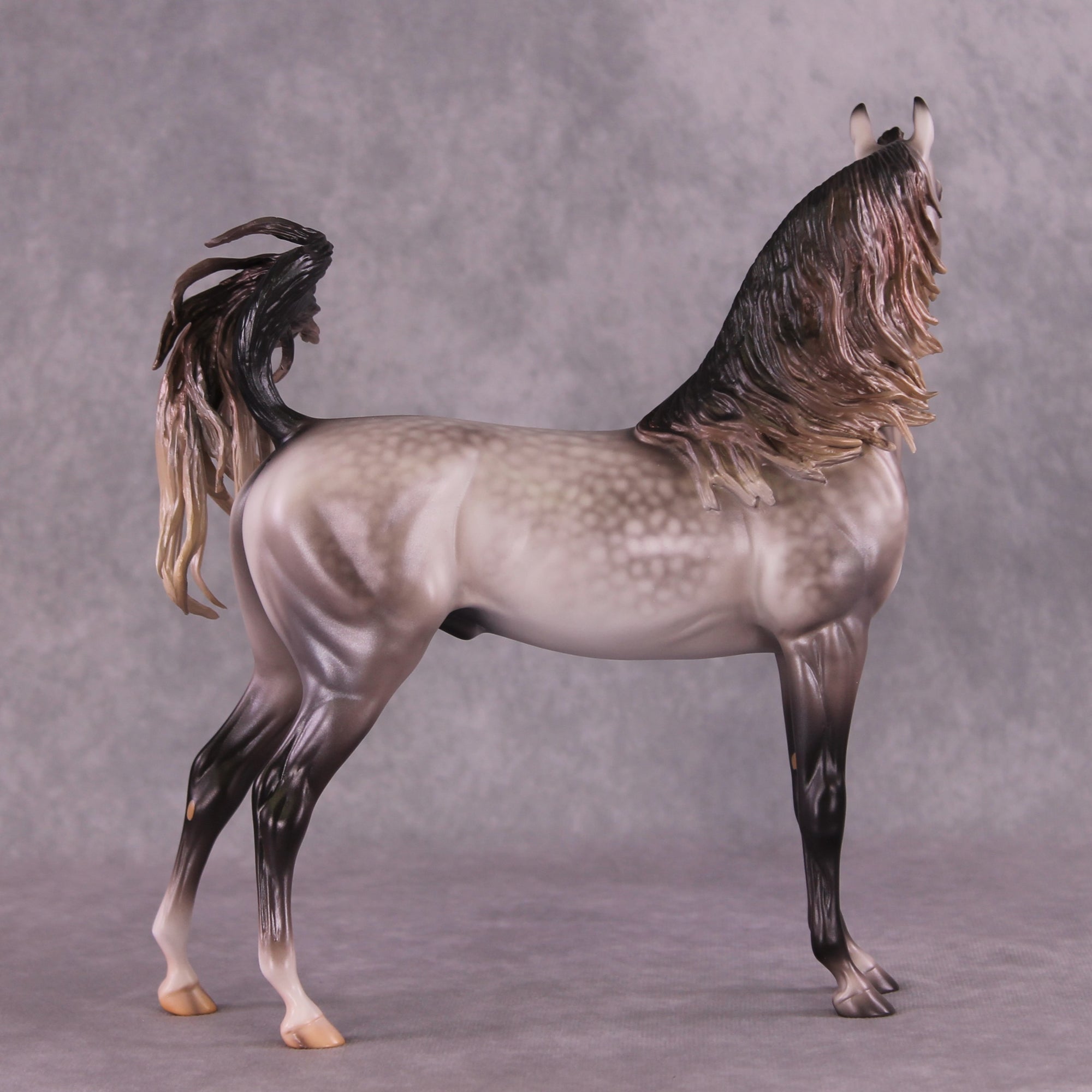 "Devon Aire" OOAK FCM Arabian Stallion By Caroline Boydston Best Offer 6/3/25