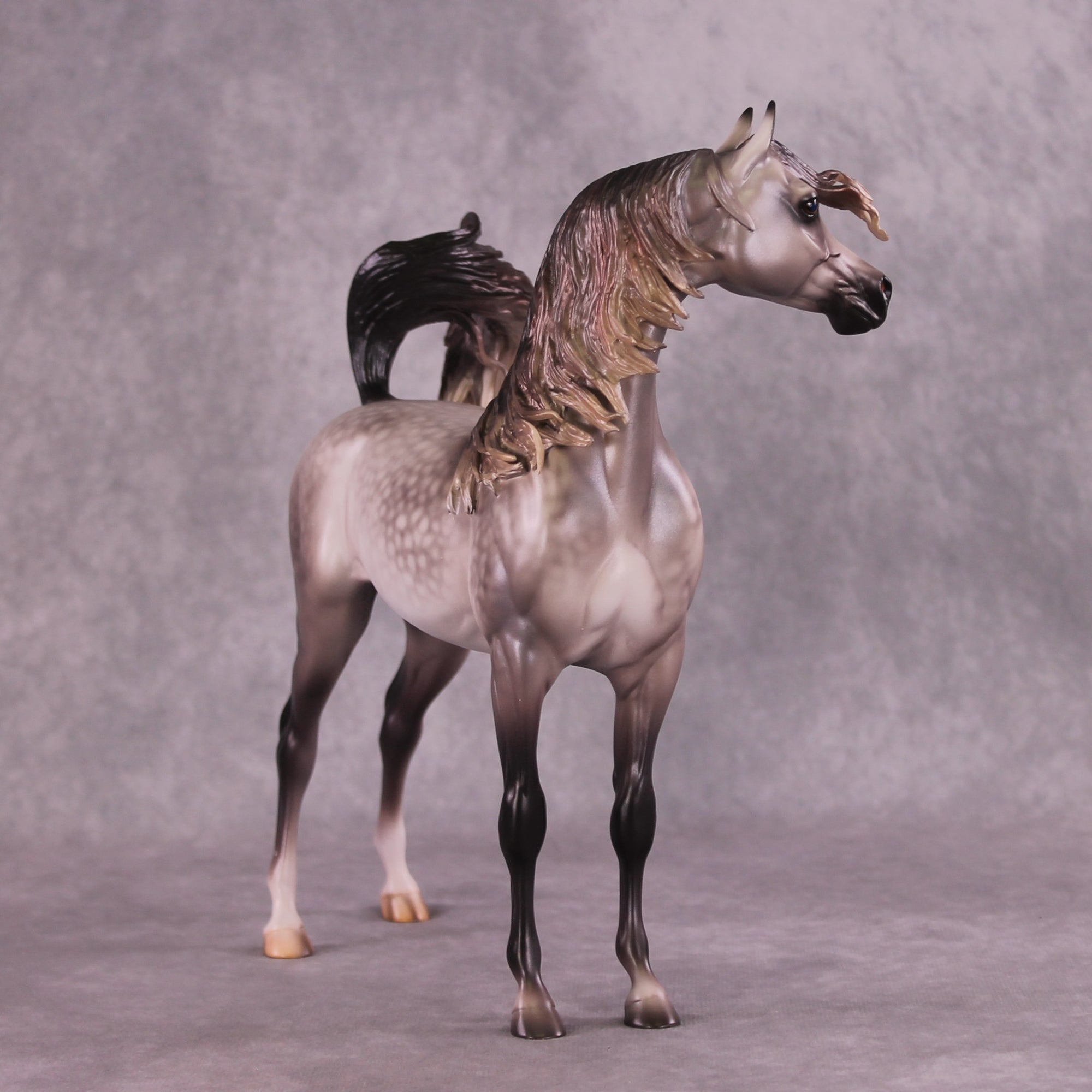 "Devon Aire" OOAK FCM Arabian Stallion By Caroline Boydston Best Offer 6/3/25