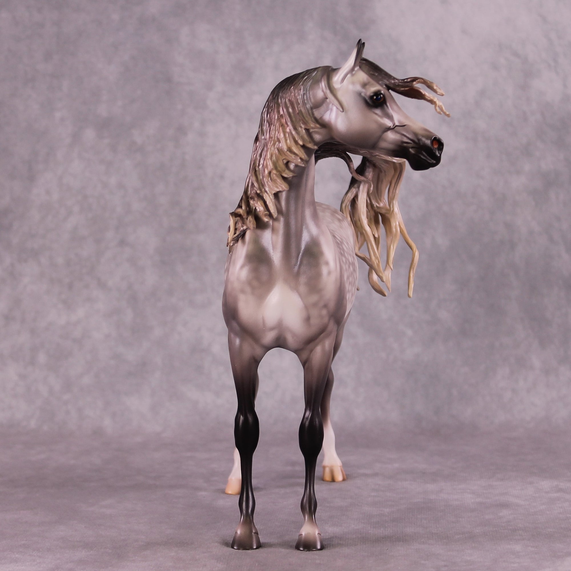 "Devon Aire" OOAK FCM Arabian Stallion By Caroline Boydston Best Offer 6/3/25
