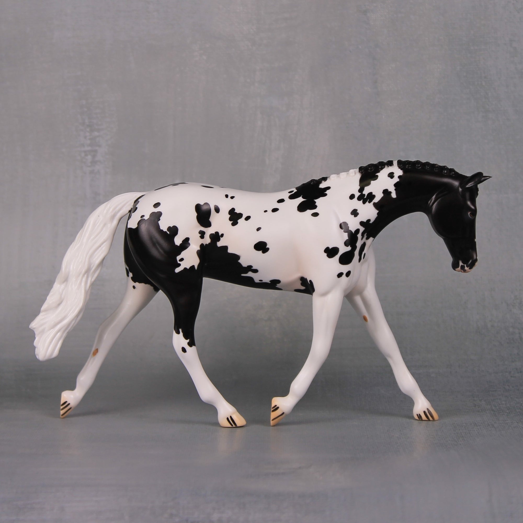 Clyde OOAK Black Appaloosa Warmblood Pebble By Jess Hamill LHS24