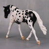 Clyde OOAK Black Appaloosa Warmblood Pebble By Jess Hamill LHS24