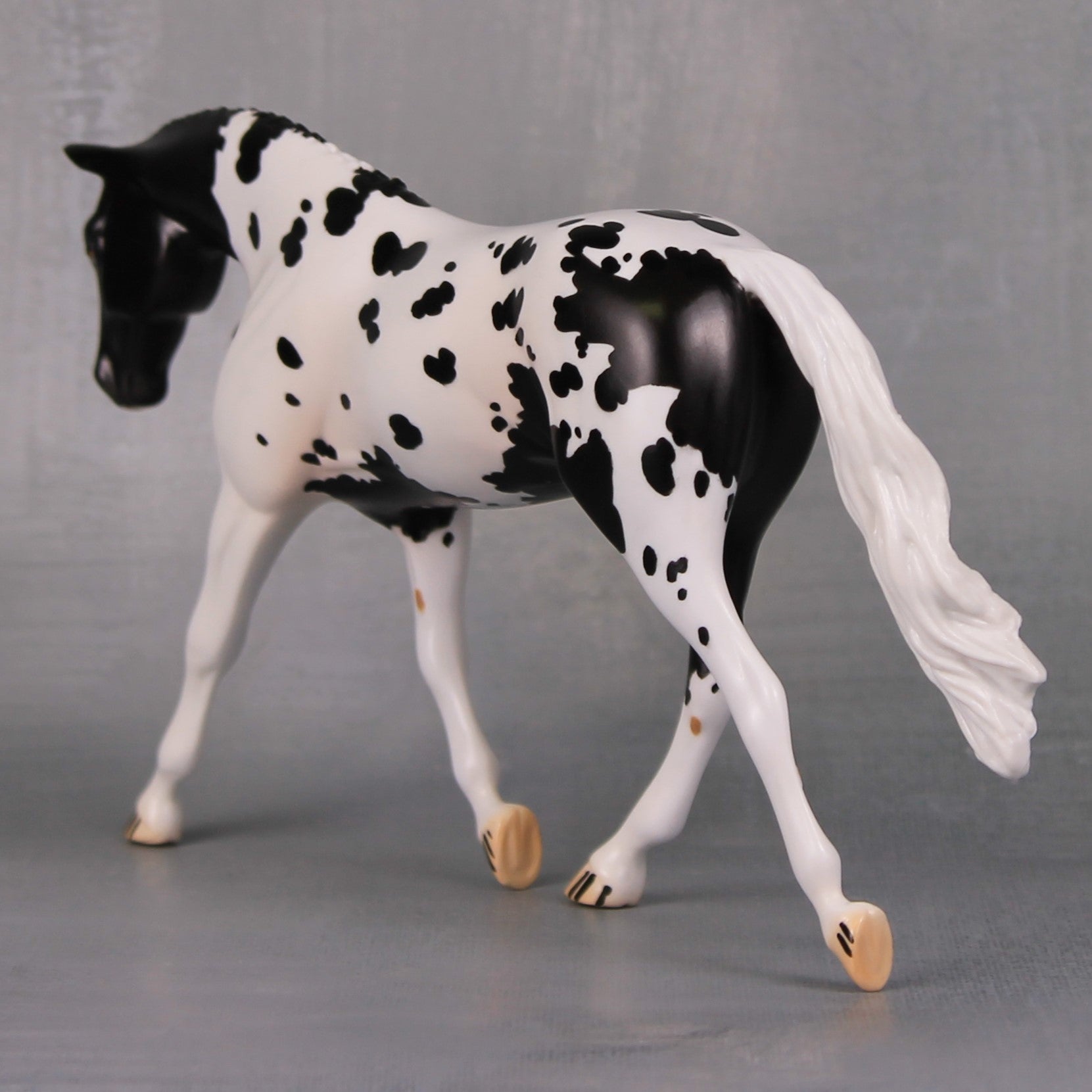 Clyde OOAK Black Appaloosa Warmblood Pebble By Jess Hamill LHS24